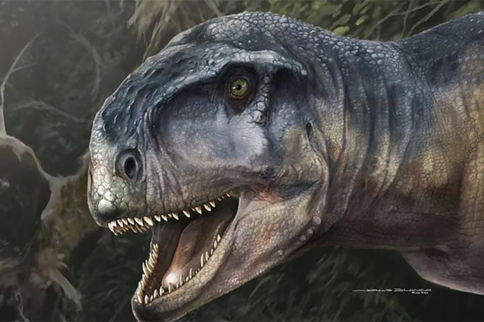 Sorpresivo hallazgo de dinosaurio en Neuquén | El Digital Neuquén