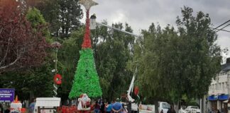 pino navideño reciclado Junín de los Andes