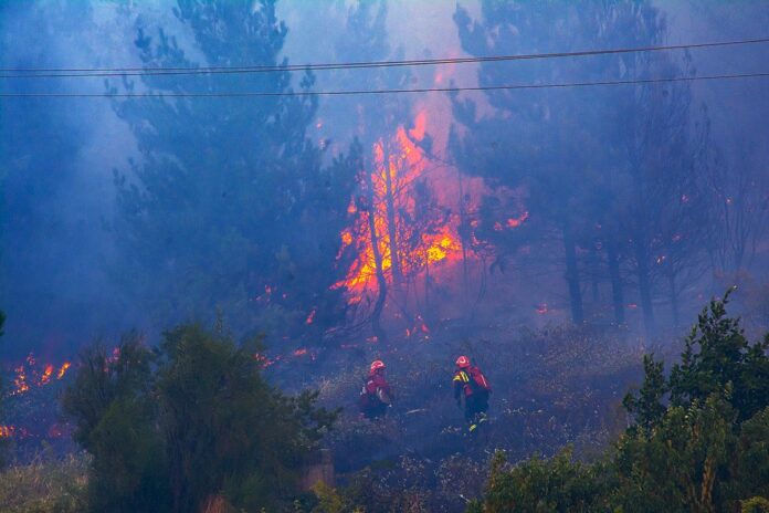 Incendio en El Hoyo